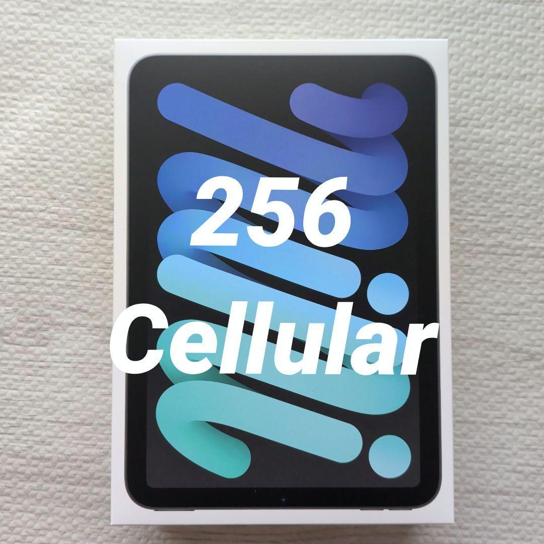 マ*サ様 iPad mini (第7世代) 本体　スペースグレイ