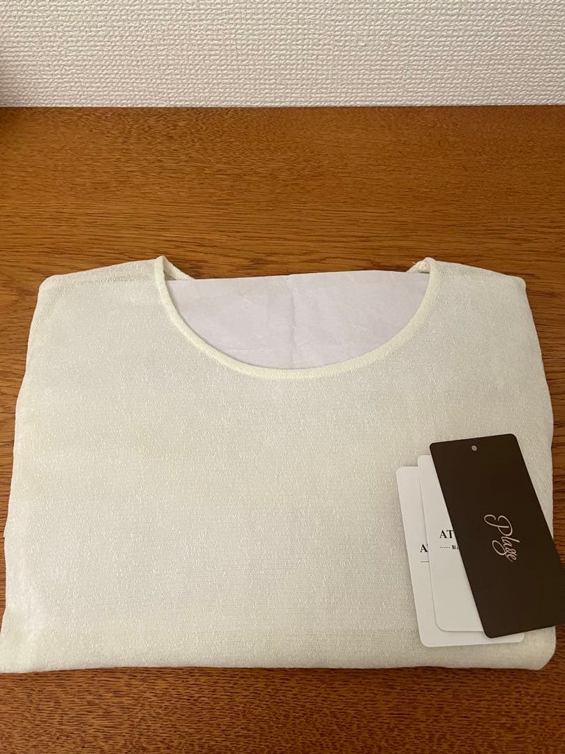 plageプラージュ 美品！ Floky Mesh シアーロンT ホワイト