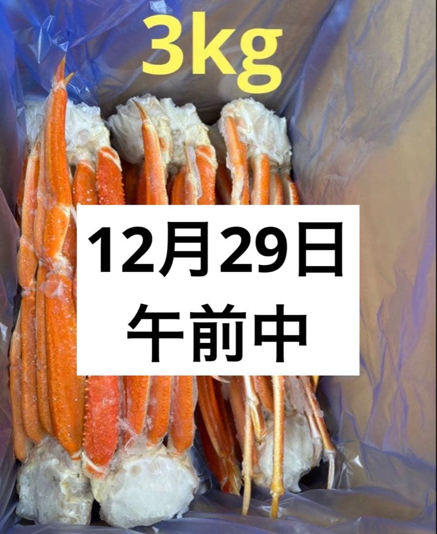 【12月29日午前中】ゆな　3キロ　本ズワイガニ