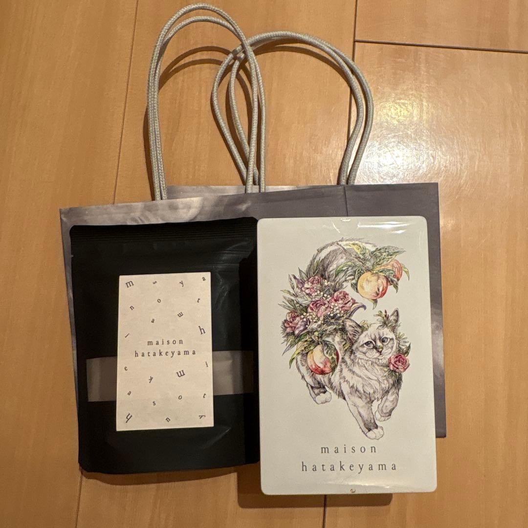 【完売品】サロンデュショコラ　サブレ　メゾン　メゾンハタケヤマ　タブレット