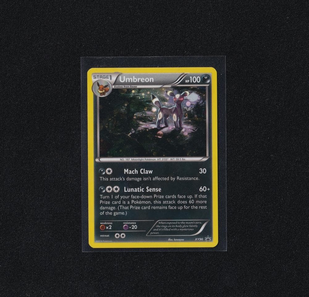 英版ブラッキー XY★プロモ