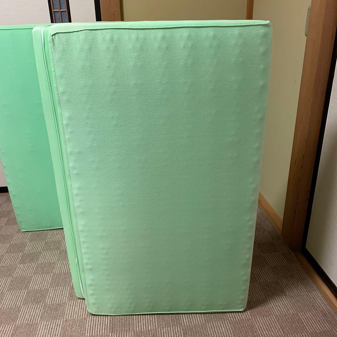 ヘルスウェーブDCバージョン(デラックス） 【新品・未使用品】