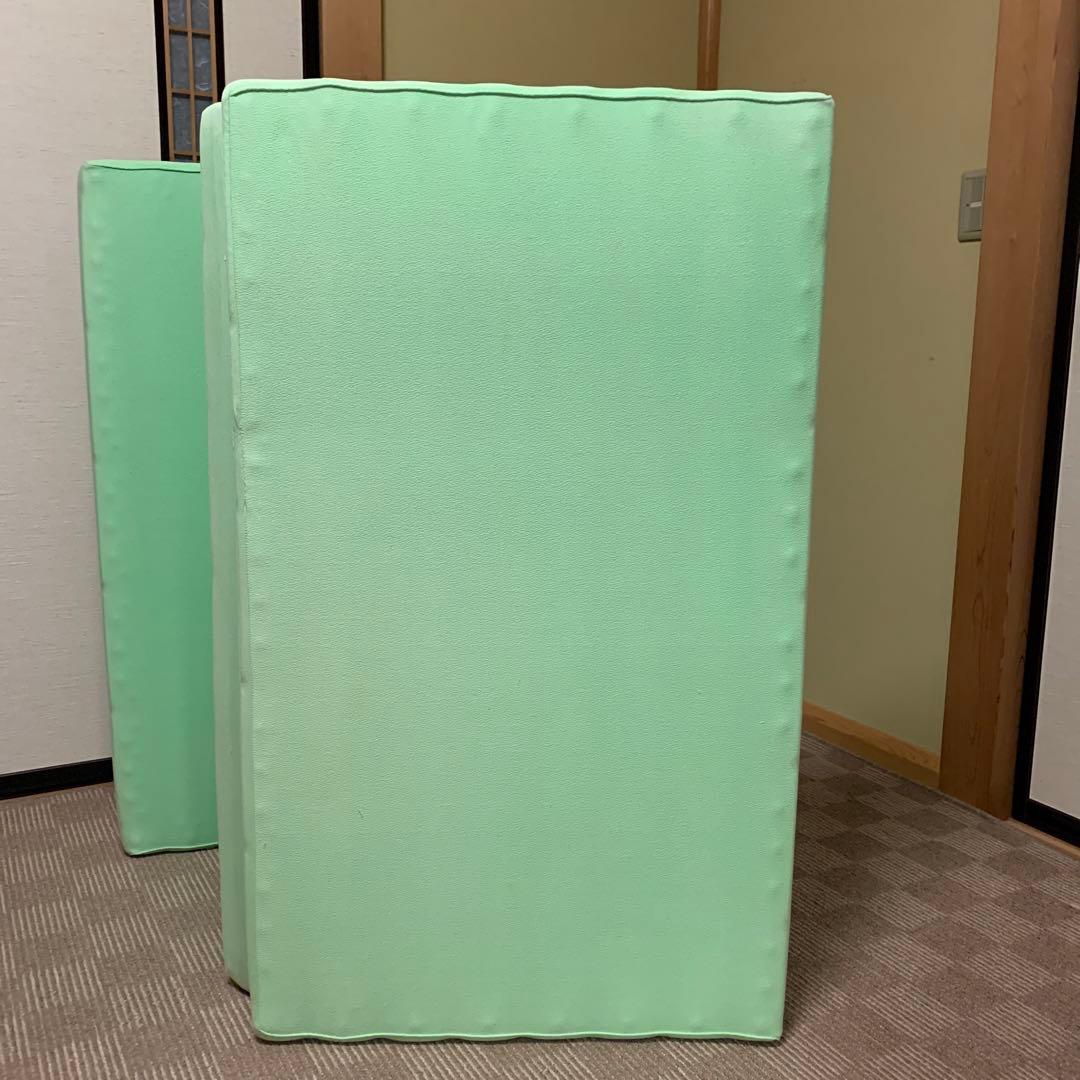 ヘルスウェーブDCバージョン(デラックス） 【新品・未使用品】