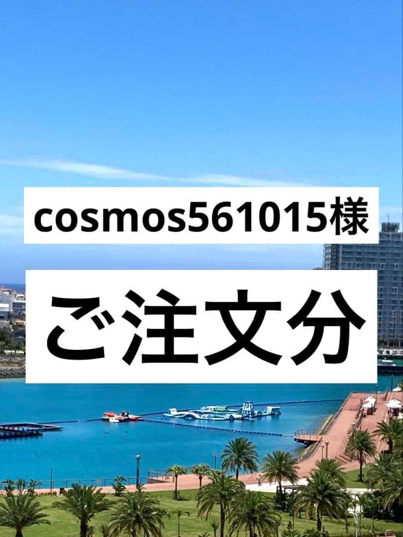 cosmos561015様　ご注文分