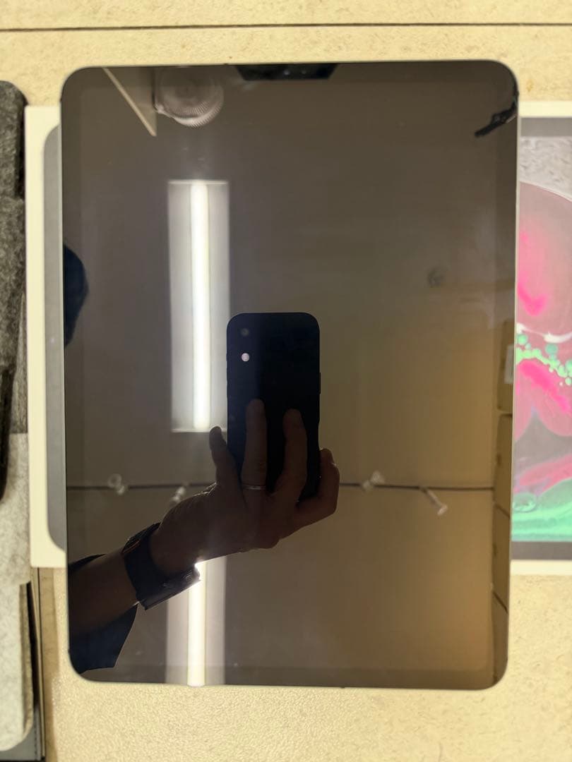 iPad Pro 11 (第1世代) 256gb セルラースペースグレー