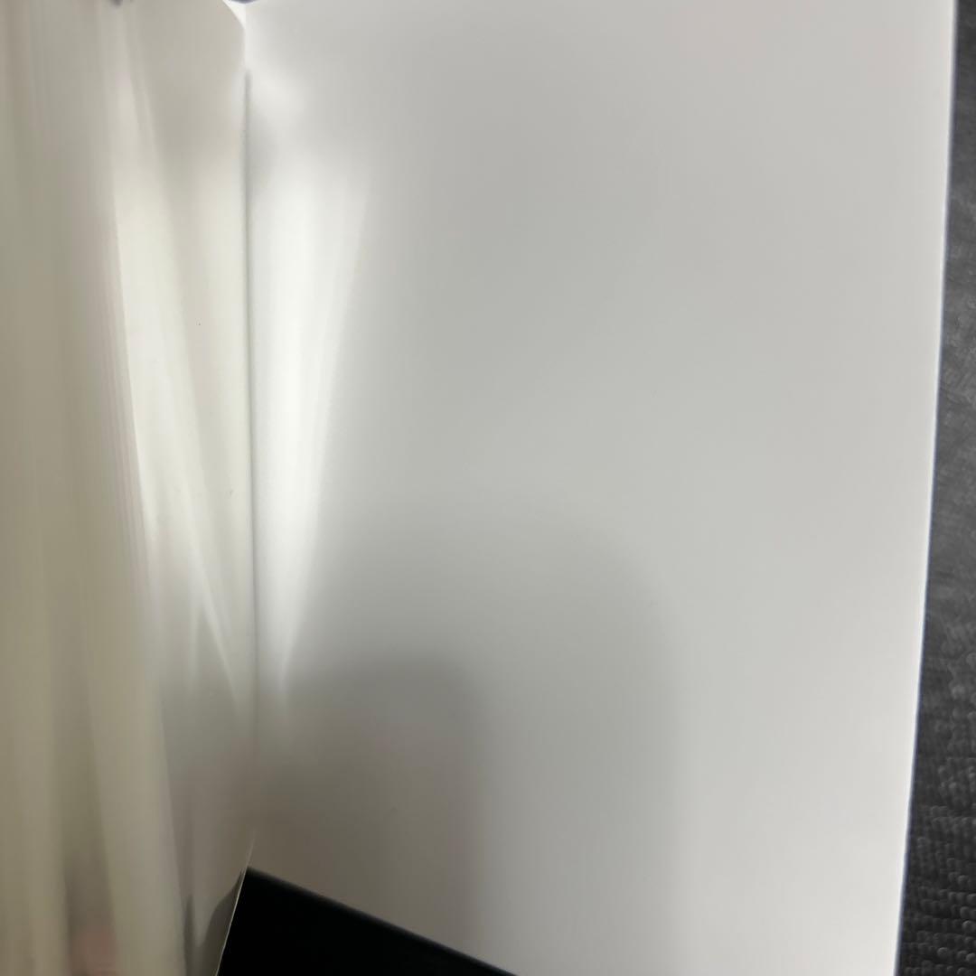 激レア　ポンチョを着たピカチュウ 非売品　ファイル