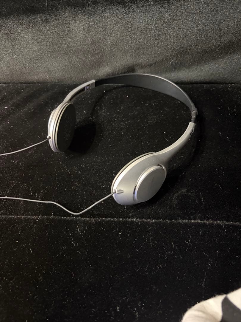 ヘッドホン リリイ・シュシュのすべて 大学生fujiさん着用 swag