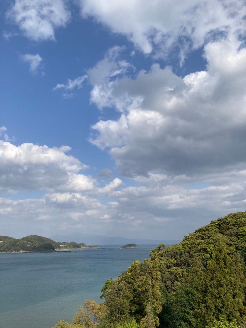 ココ　日本蜜蜂　生ハチミツ　蜂蜜