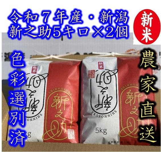 大粒な令和７年産 新潟 新之助 白米5kg × ２個 ★農家直送★色彩選別済