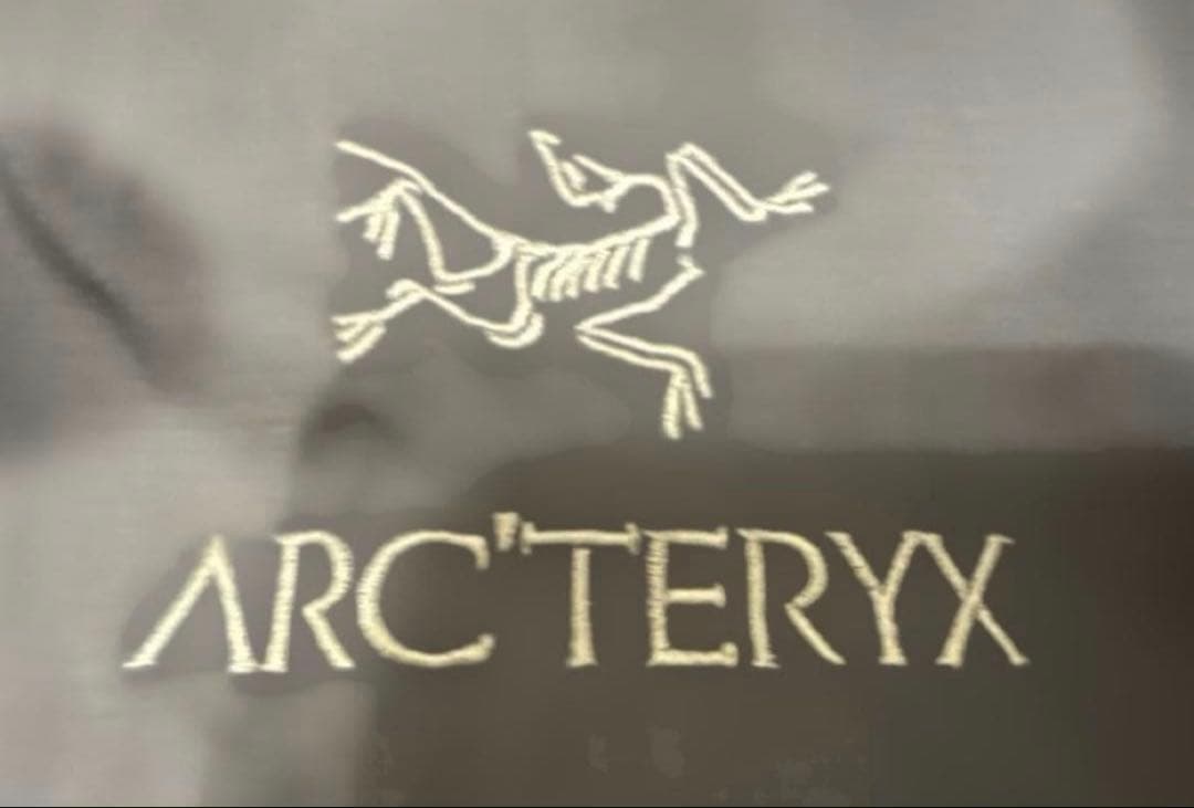 ジャケット・アウター ARC'TERYX Atom Hoody Black Sapphire / M