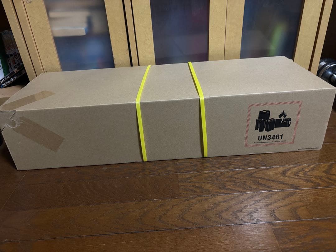 ダイソン SV25FFNI2