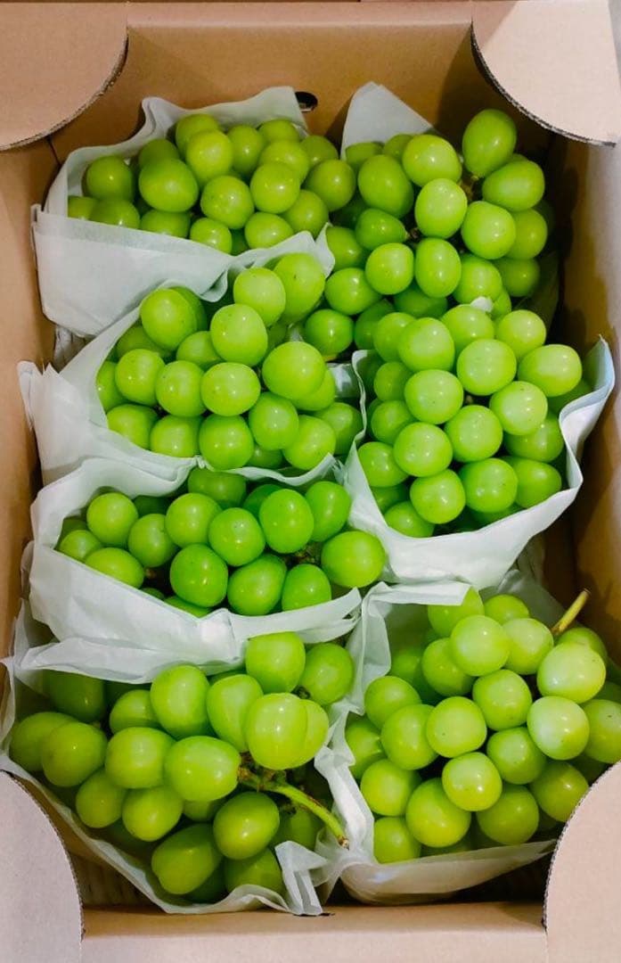 長野県産　大粒シャインマスカット5キロ以上