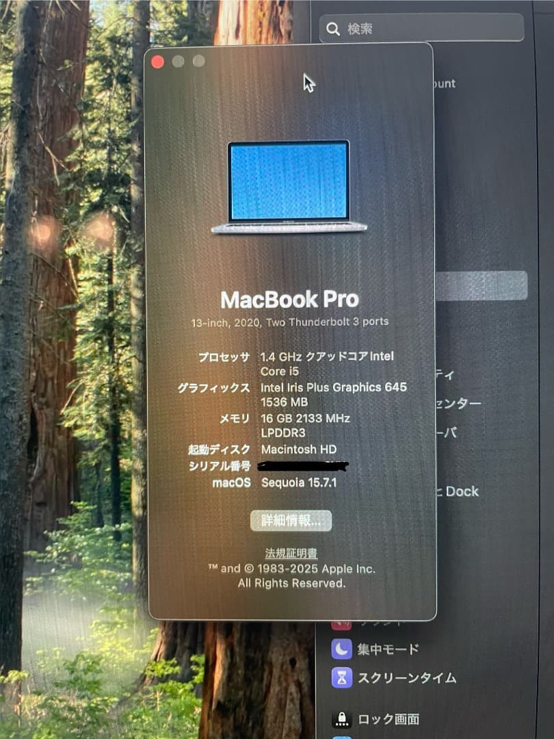 MacBook Pro 2020 USキーボード i5 16GB 256GB