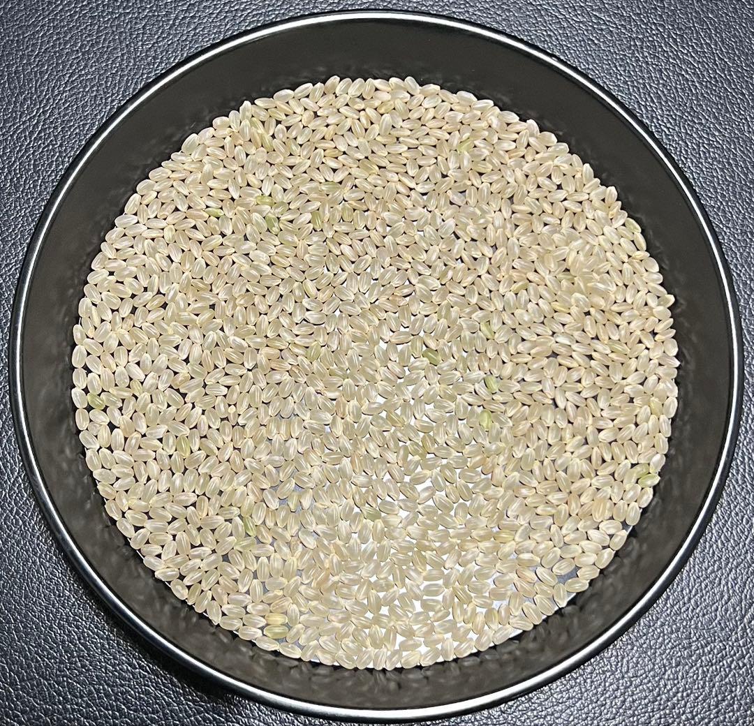 送料無料 令和7年産 京都丹後米 コシヒカリ 玄米 30kg