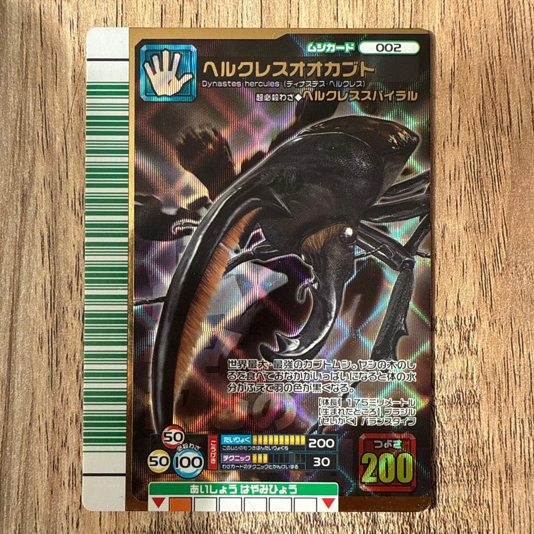 K*i様 ヘルクレスオオカブト 2007 ファースト　黒羽