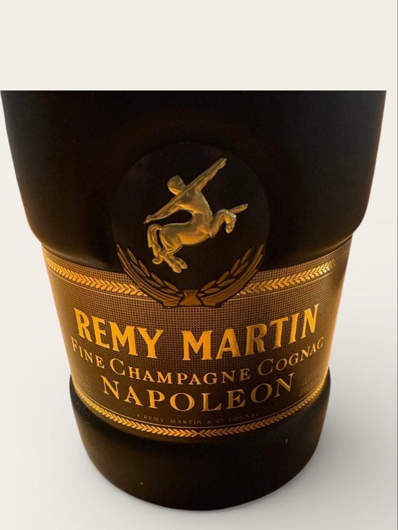 REMY MARTIN NAPOLEON 1リットル
