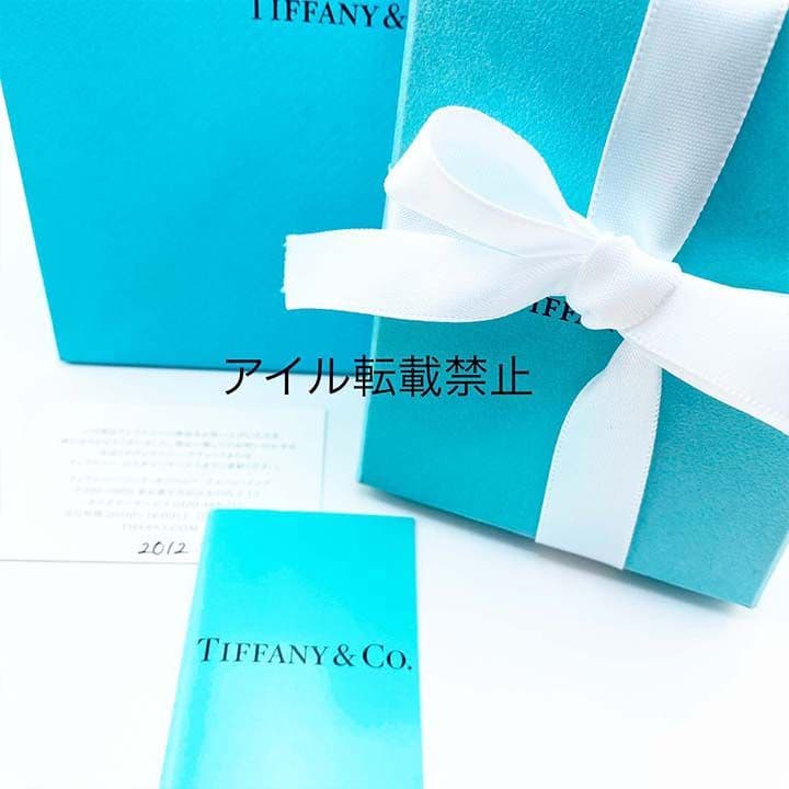 新品 ギフト包装 ティファニー ビーンネックレス 大