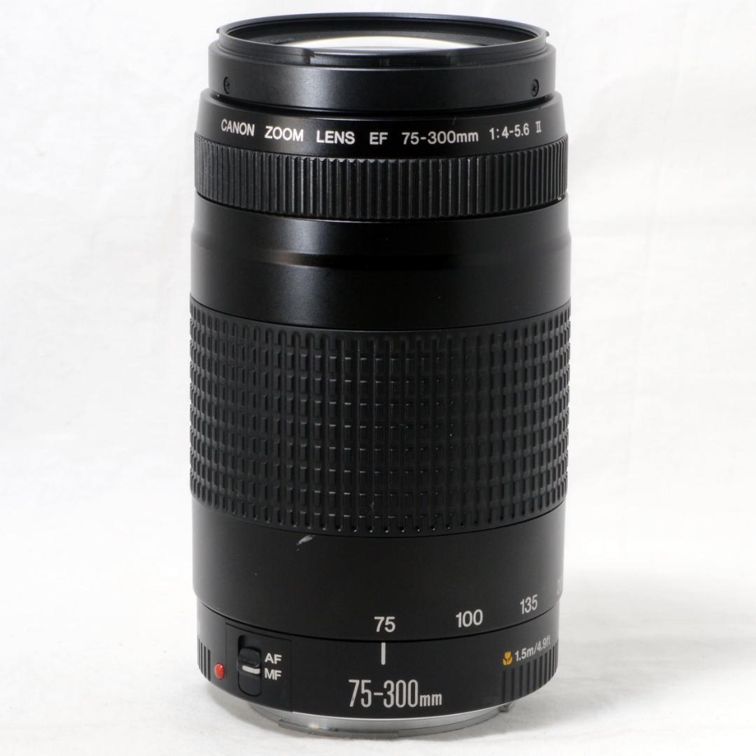 ★良品★Canon キャノン EF 75-300mm F4-5.6 Ⅱ