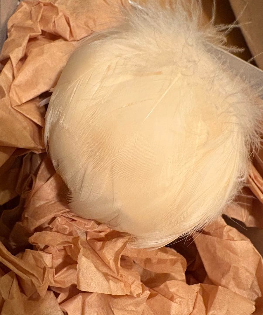 camellia 様 ruban ウィッグ iMda3.0 人形 羽根 ドール