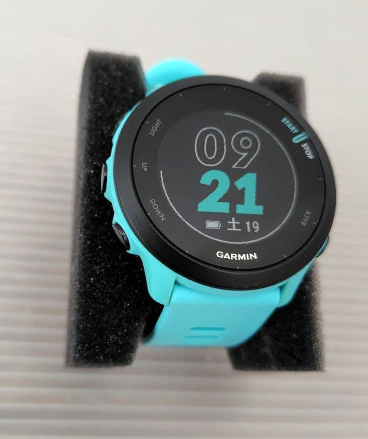 GARMIN（ガーミン）　FOREATHLETE 55 AQUA