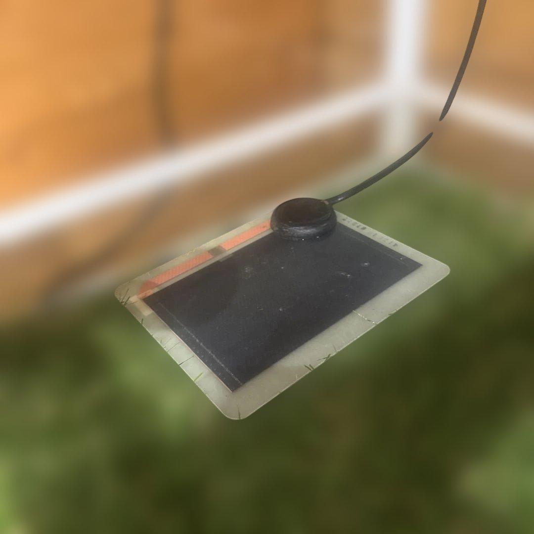 パンテオン6045 他飼育セット