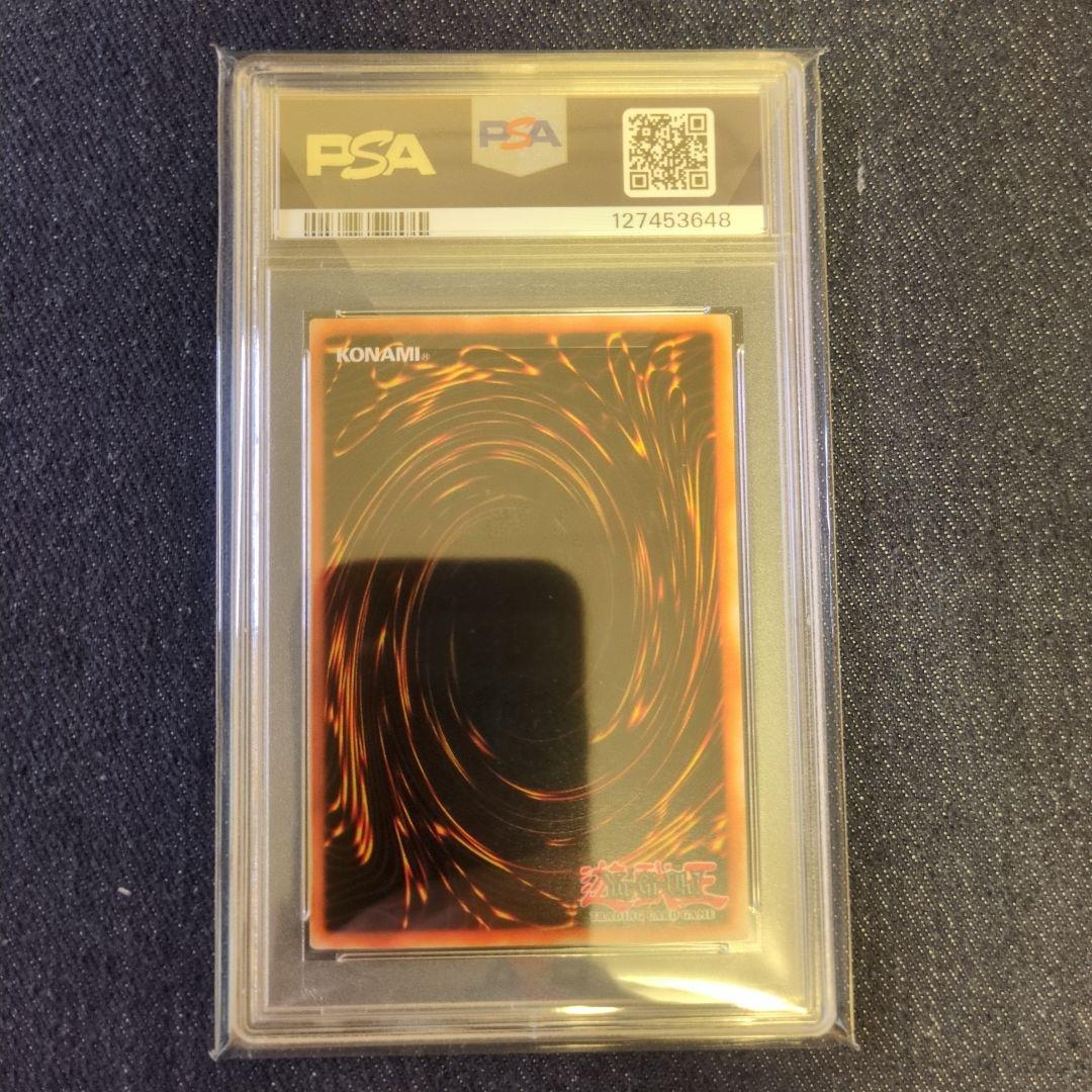 （PSA8）【匿名配送】WCS-EN403　千年原人