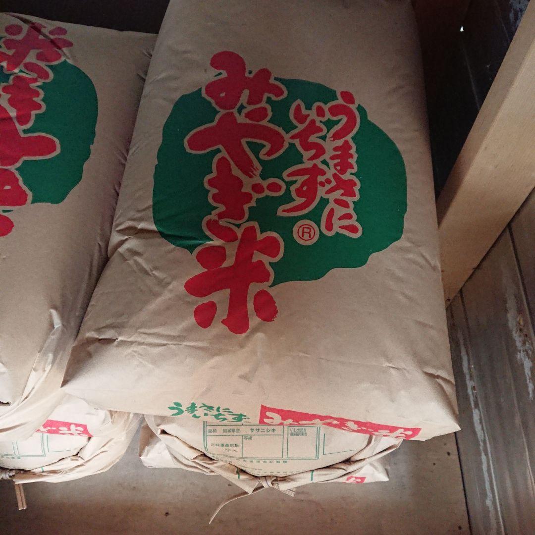 ササニシキ30キロ玄米