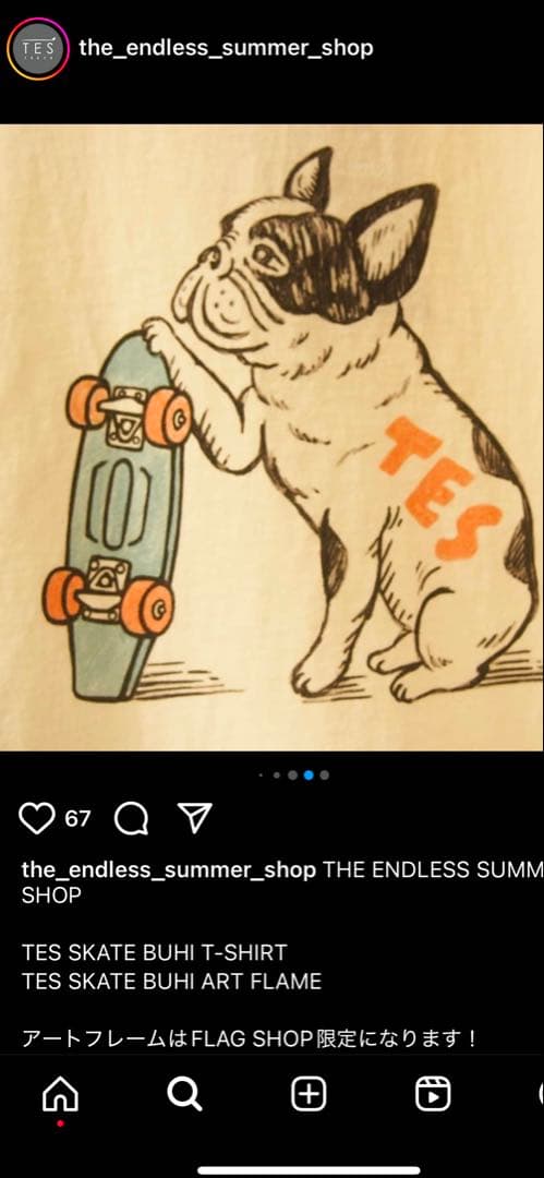 TES （The Endless Summer） アートフレーム