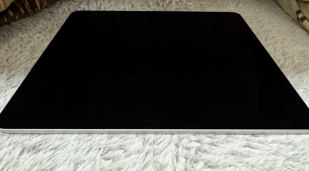 Apple iPad 12.9インチ 512GB (第5世代)