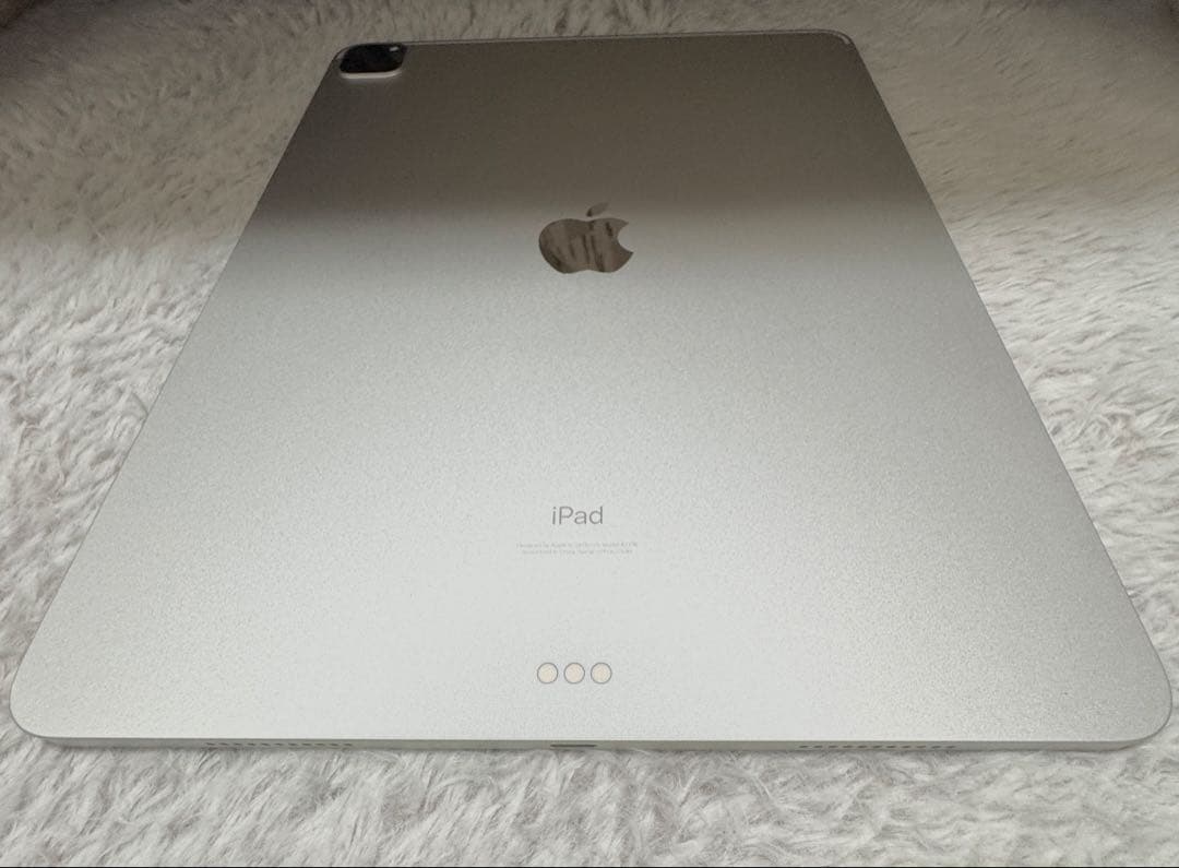 Apple iPad 12.9インチ 512GB (第5世代)