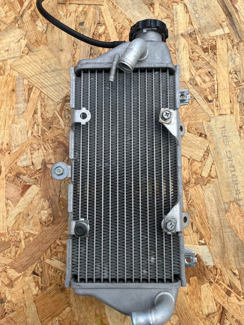 りんりんさん　専用