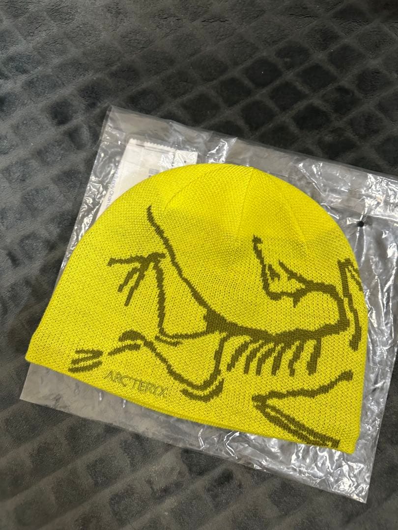 アークテリクス バードヘッドトーク ビーニー【試着のみ・正規品】