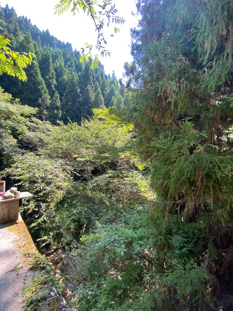 ハチミツ　日本蜜蜂の蜂蜜　奥山の奥のはちみつ　巣箱違い谷違いのハチミツ４種