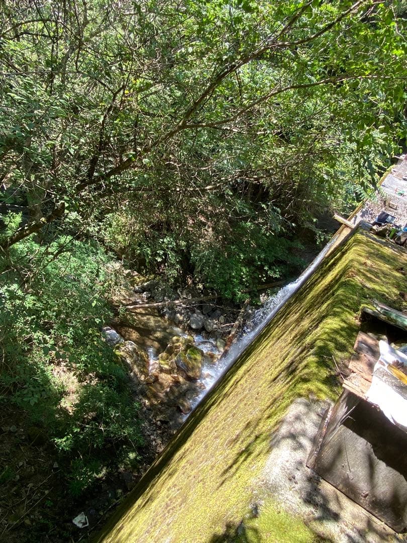 ハチミツ　日本蜜蜂の蜂蜜　奥山の奥のはちみつ　巣箱違い谷違いのハチミツ４種