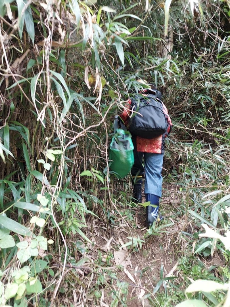 ハチミツ　日本蜜蜂の蜂蜜　奥山の奥のはちみつ　巣箱違い谷違いのハチミツ４種