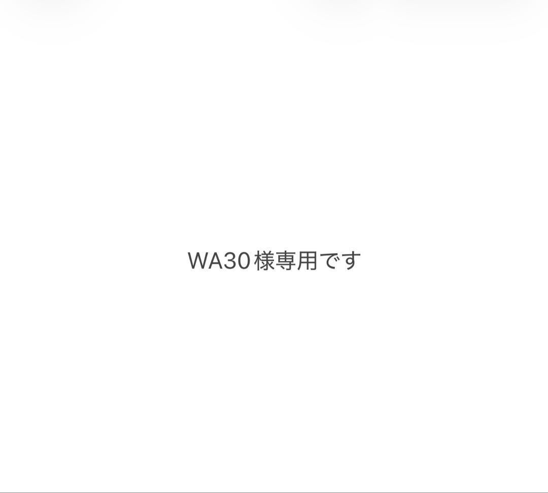 WA30です