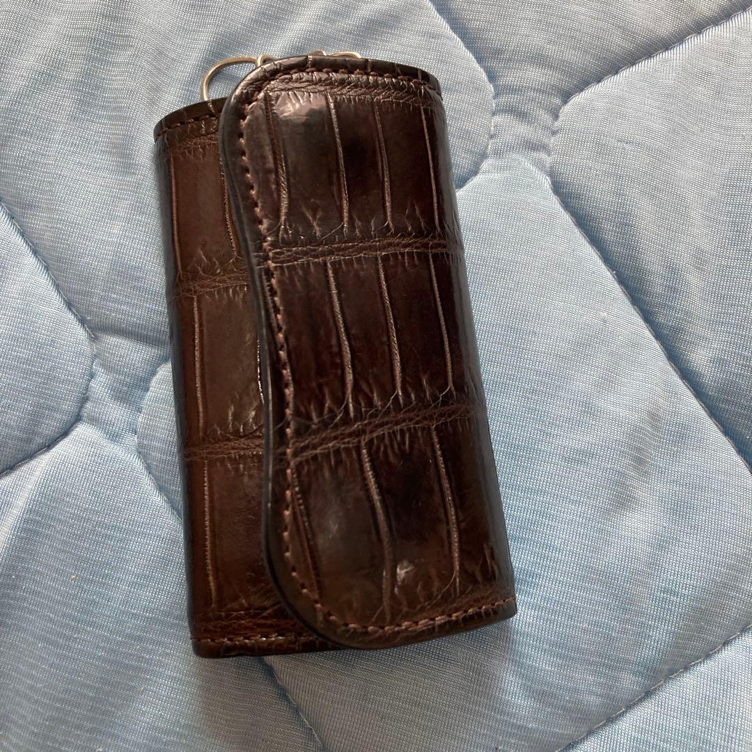 ワイルドスワンズ　クリッパー2 クロコダイル　チョコ