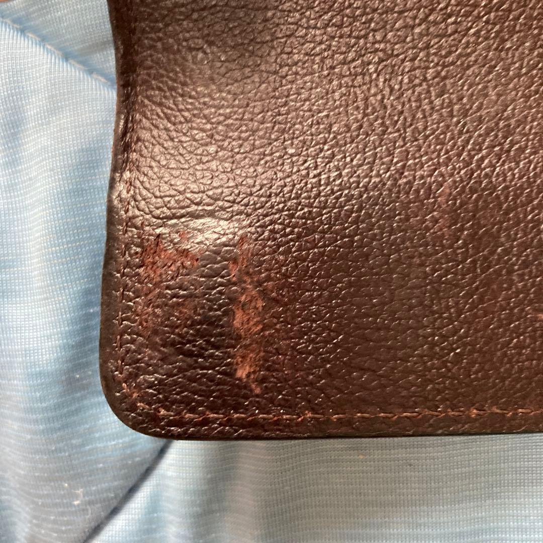 ワイルドスワンズ　クリッパー2 クロコダイル　チョコ