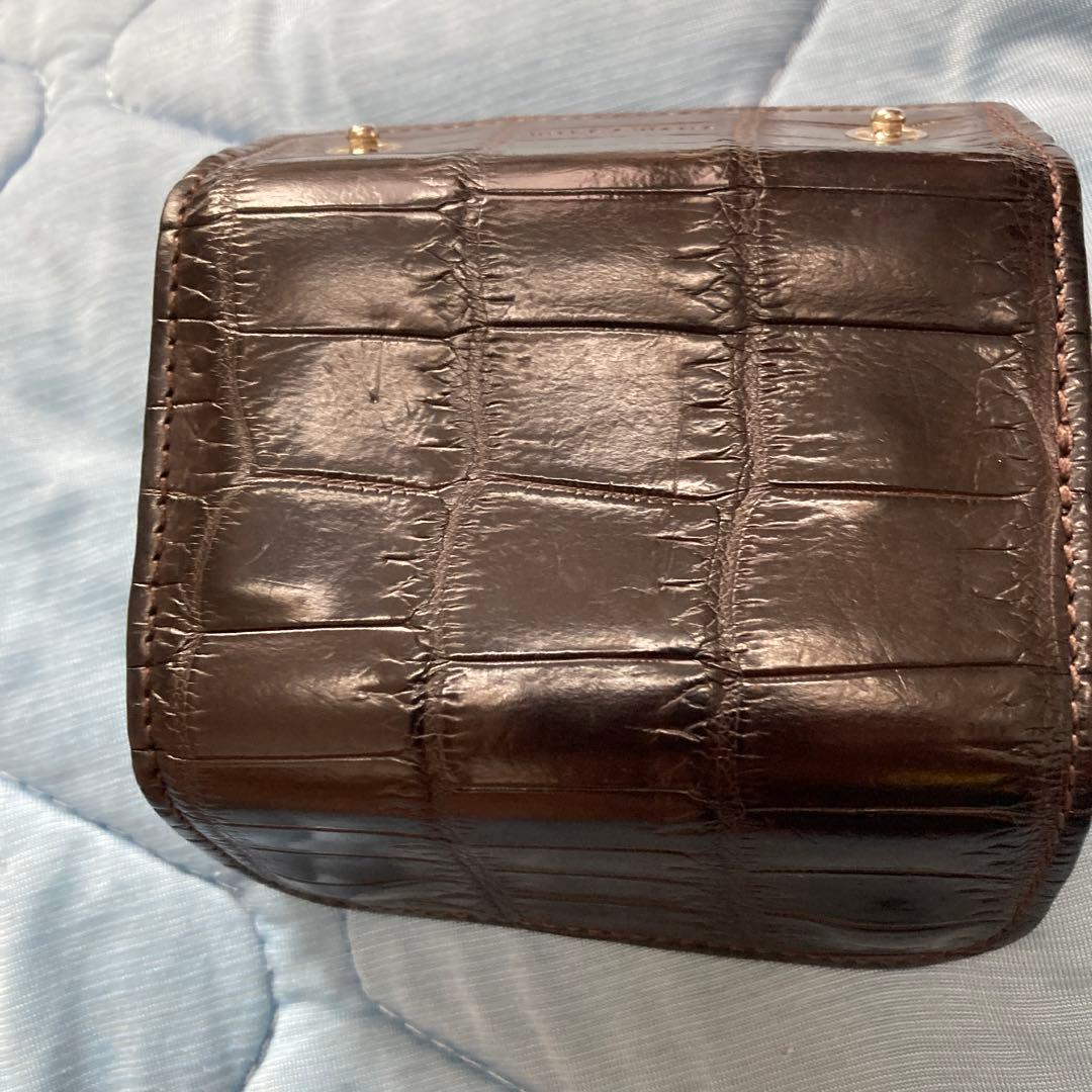 ワイルドスワンズ　クリッパー2 クロコダイル　チョコ