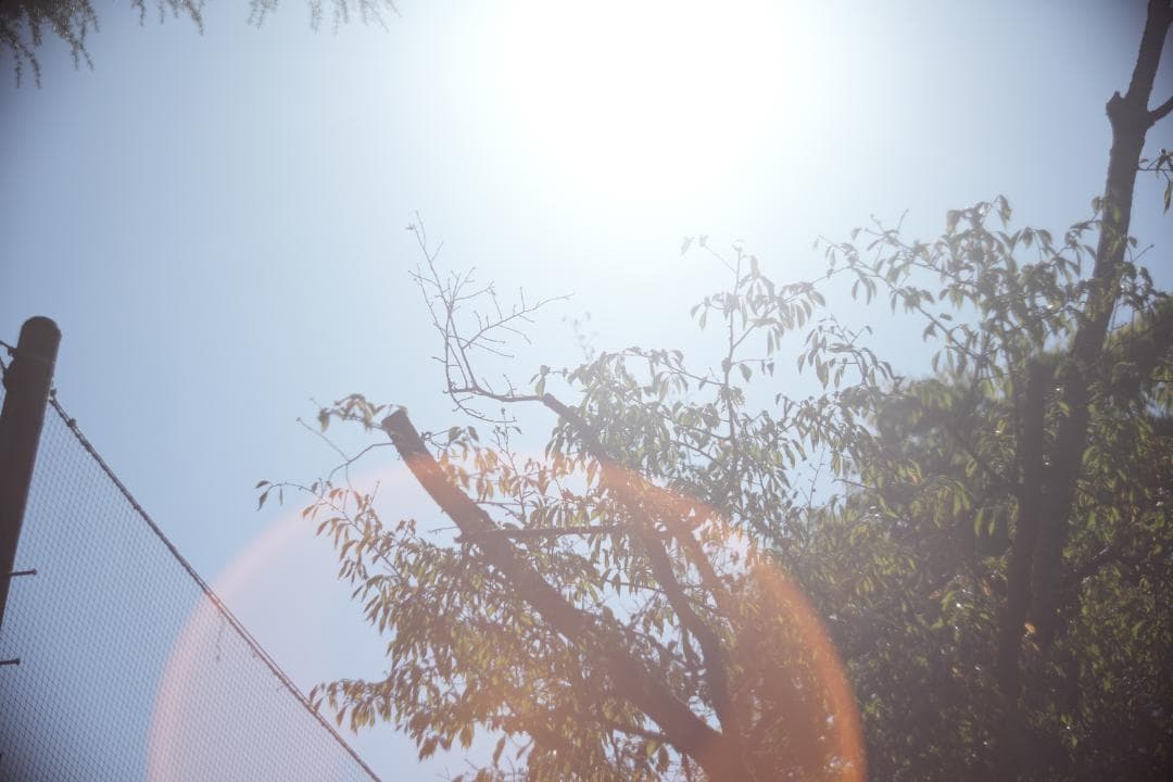 KMZ PO-2-2M 75mm f2 ライカM改 シネレンズ スピードパンクロ