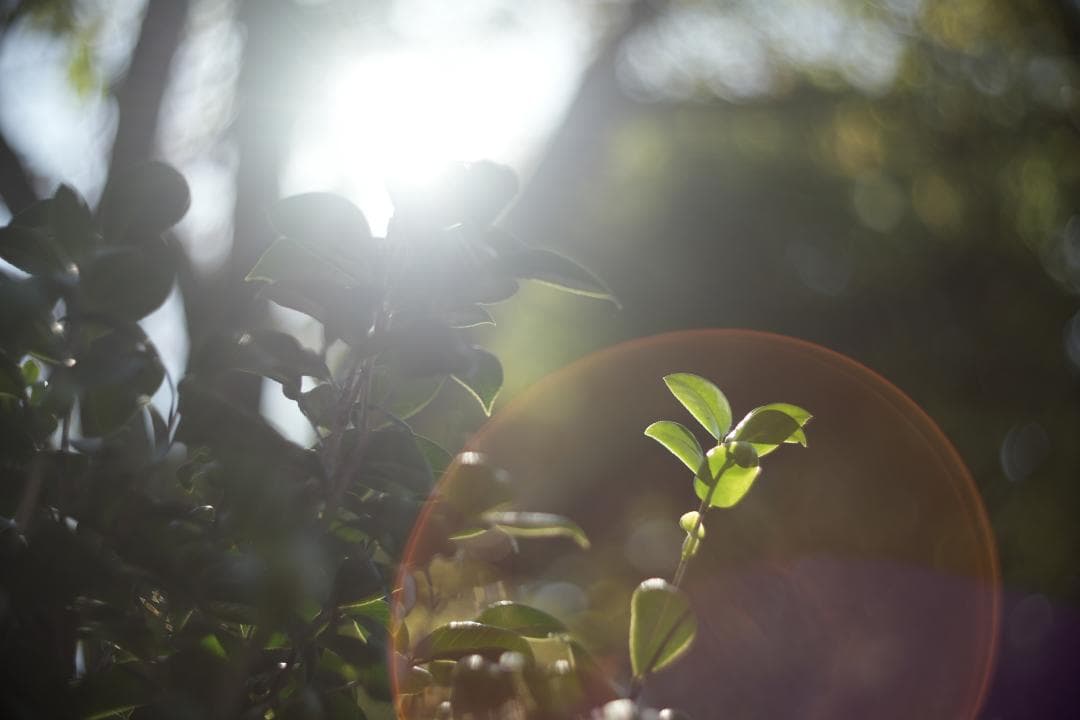 KMZ PO-2-2M 75mm f2 ライカM改 シネレンズ スピードパンクロ