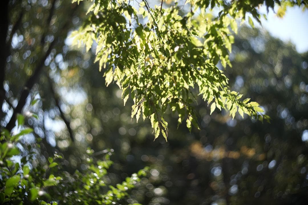 KMZ PO-2-2M 75mm f2 ライカM改 シネレンズ スピードパンクロ