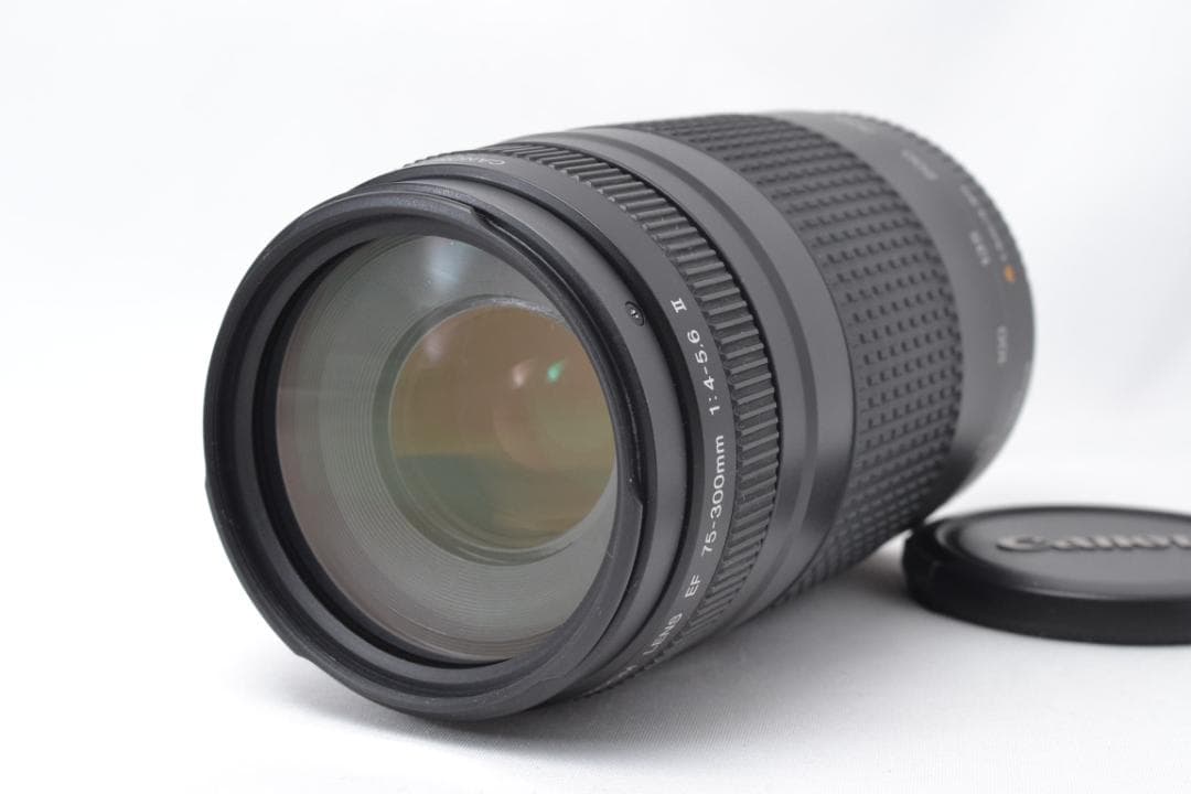 ■ 美品 ■ キャノン Canon EF 75-300mm F4-5.6 Ⅱ