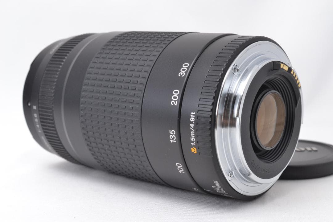 ■ 美品 ■ キャノン Canon EF 75-300mm F4-5.6 Ⅱ