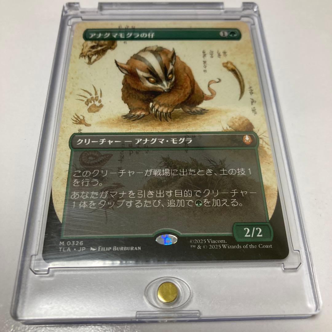 c*l様 MTG アナグマモグラの仔/Badgermole Cub ボーダーレス