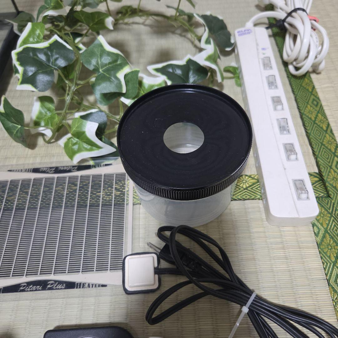 ぴっぴ GEX エキゾテラ グラステラリウム3045 一式セット