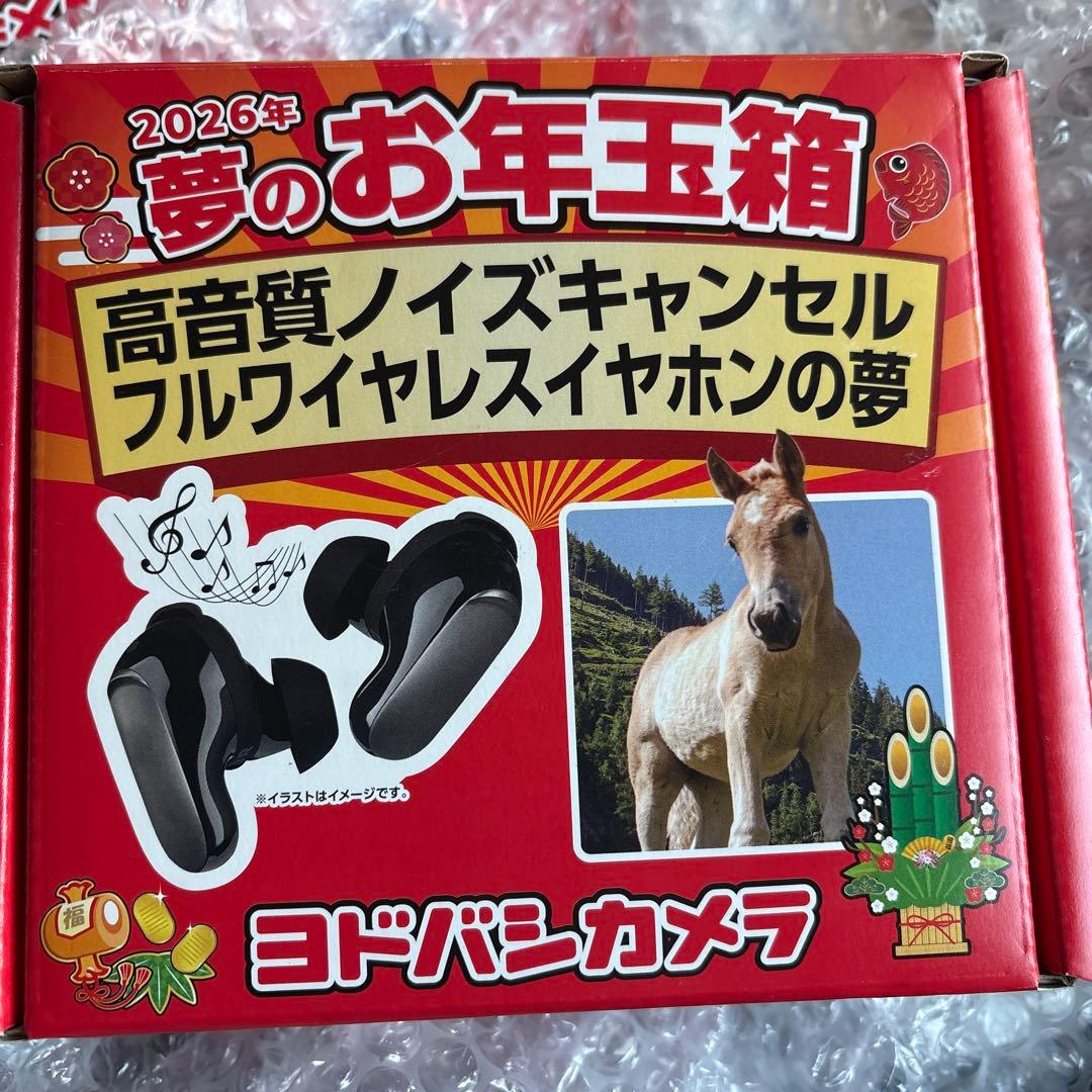 ヨドバシ 夢のお年玉箱2026 高音質ノイズキャンセルフルワイヤレスイ