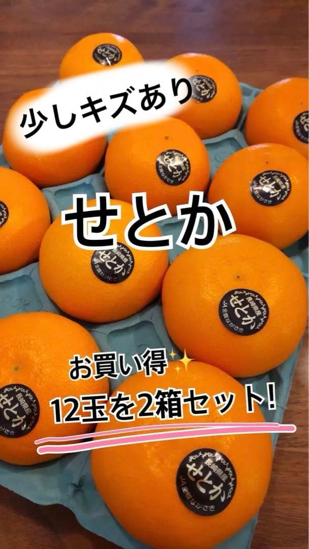 せとか 12玉×2箱セット