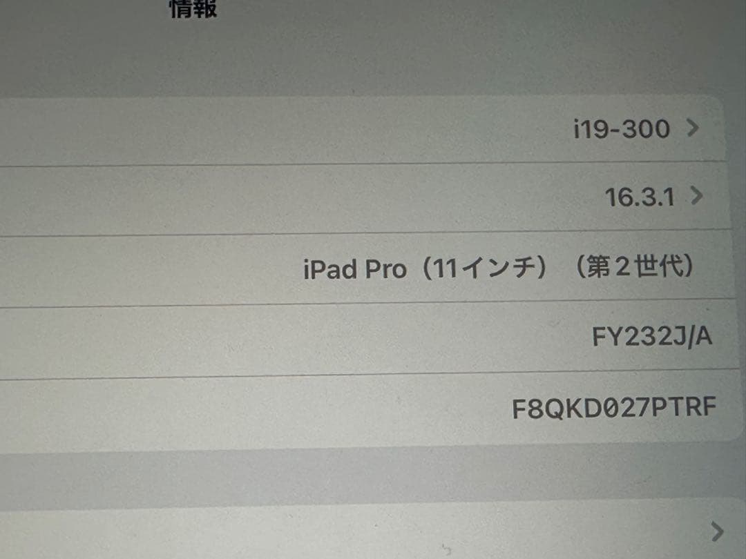 Apple iPad Pro (11インチ) 第2世代 スペースグレイ128GB