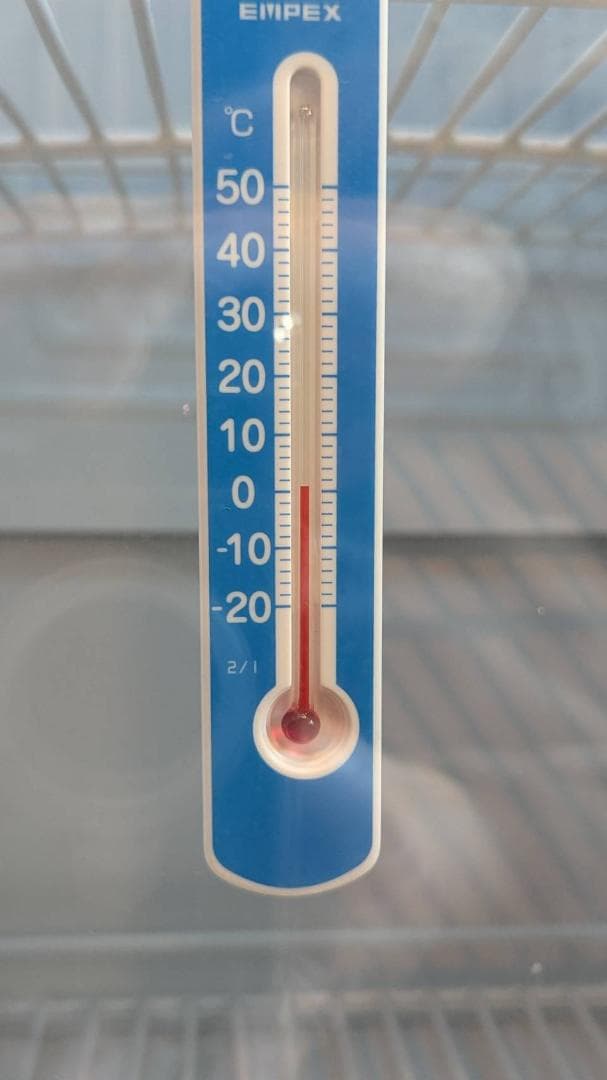 ショーケース冷蔵庫　レッドブルロゴ！